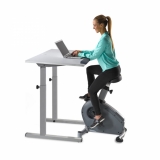 Fitness Bike With Console (Desk Not Included)